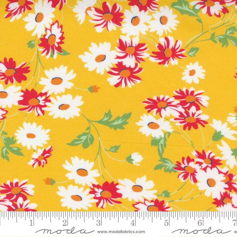 21791 14 Story Time-Yellow