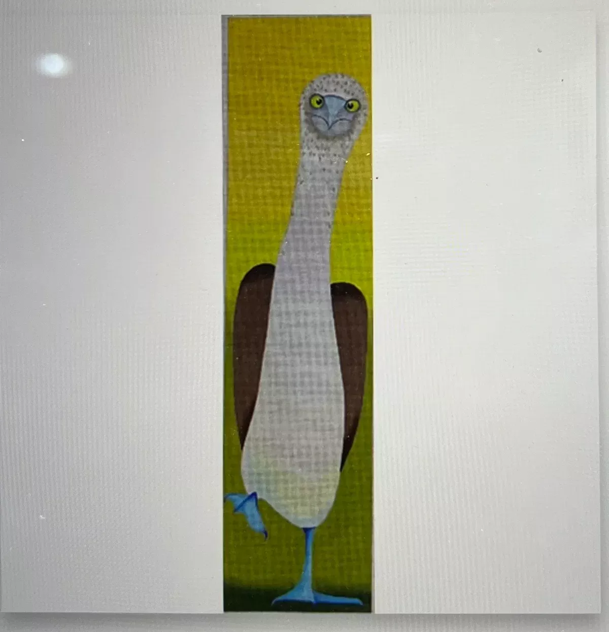 Blue Footed Booby ZE 794