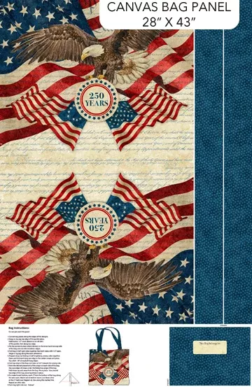 C28376-12 America 250