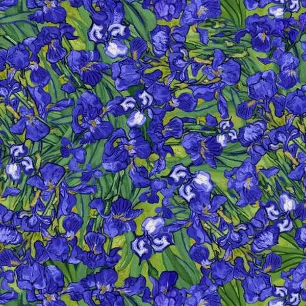 Fleur Iris