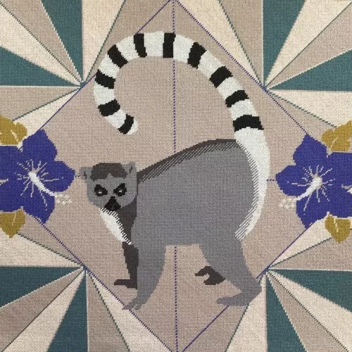 Lemur- Appletons Kit