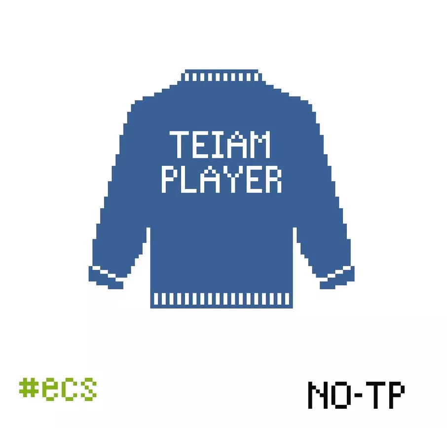 TEIAM PLAYER NO-TP