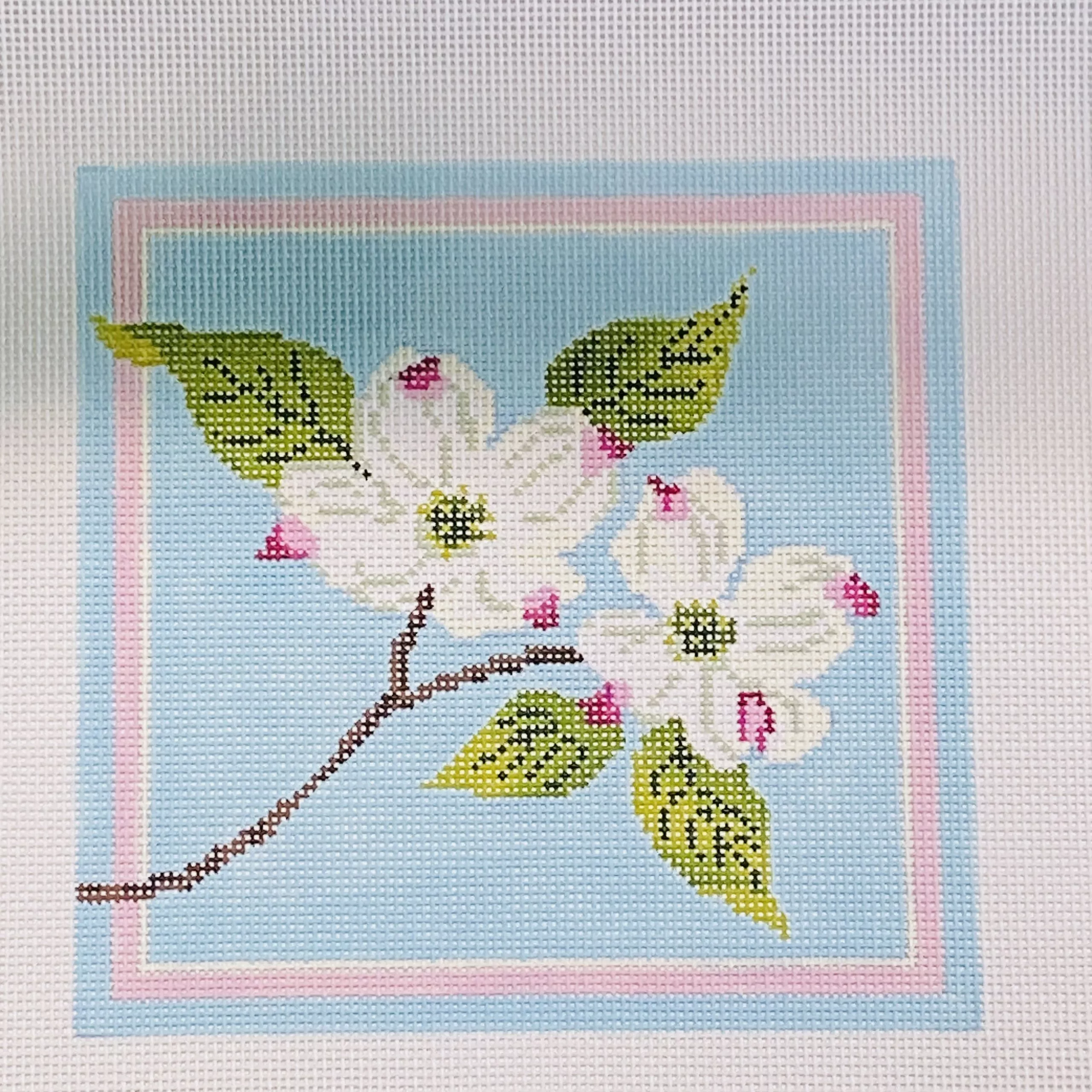 White Dogwood Blossoms